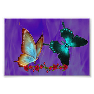 6" x 4", Kodak Professional Photo Paper (Satin) Print
