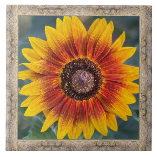 6"x 6" Ceramic Tile with Susie's Sunflower