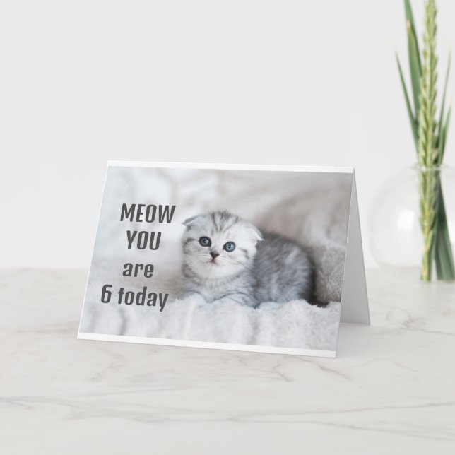 **6 YEAR OLD GIRL'S BIRTHDAY** CARD (Front)