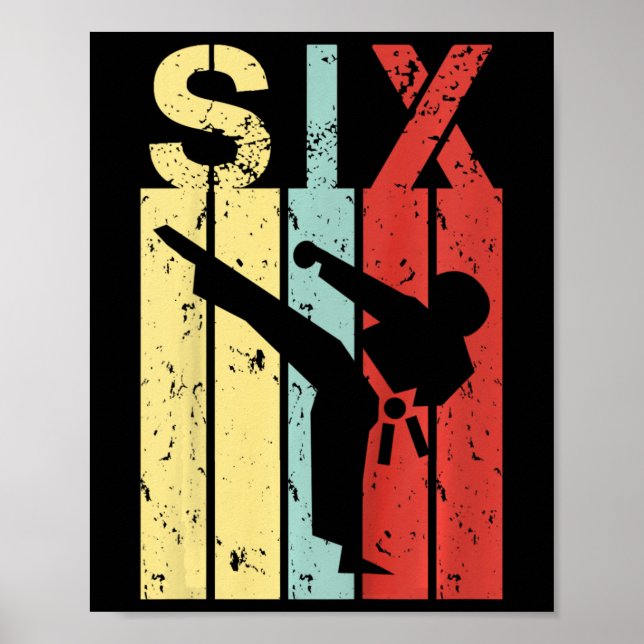 6 Year Old Karate Birthday Boy Girl 6th Birthday K Poster (Front)