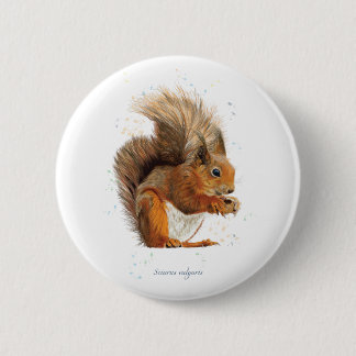 6cm Round Badge Featuring the Red Squirrel