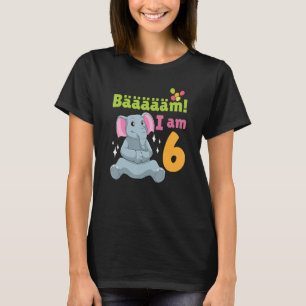 6th Birthday Elephant Themed Birthday Party 6 Year T-Shirt