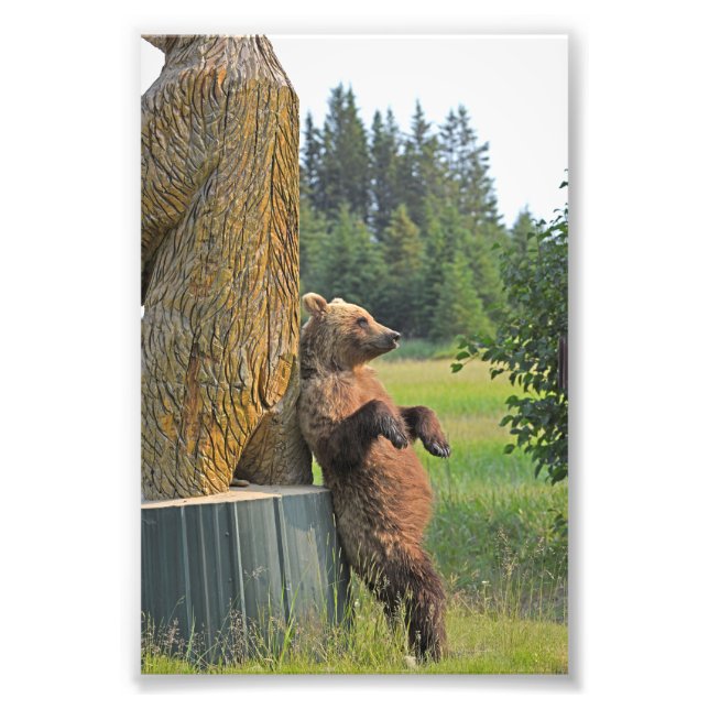  6x4 photo of grizzly bear print (Front)