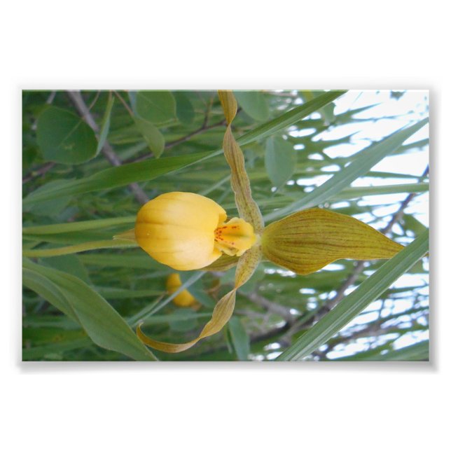 6x4 Photo Print (Front)