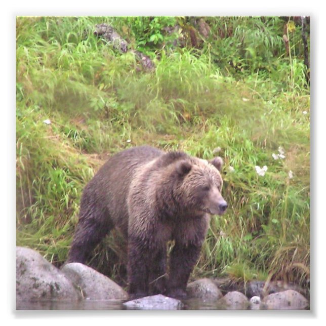 6x6  Kodak Professional Photo Paper (Satin) (Front)