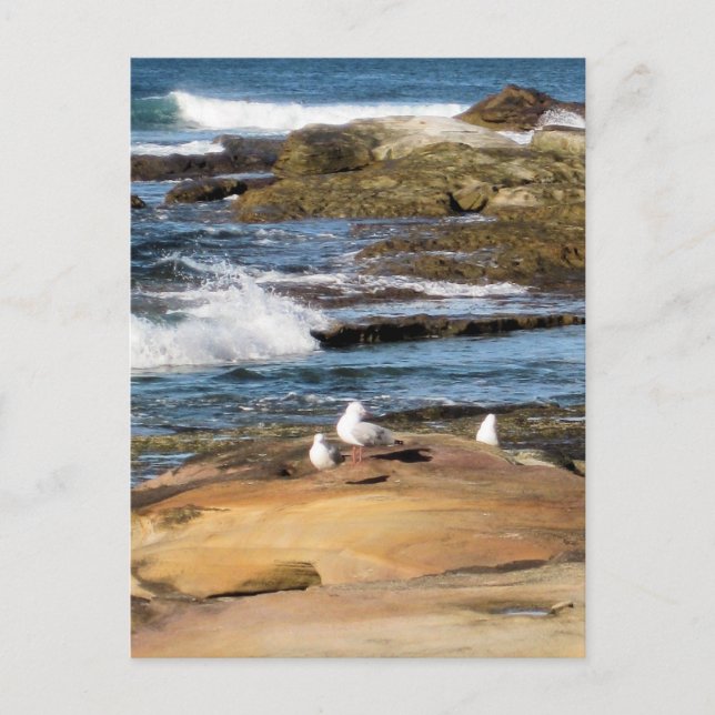 #7001 Beach Postcard (Front)
