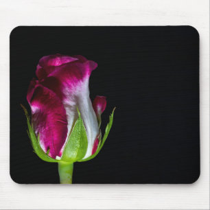 7019-Red Tipped White Rose Mouse Mat