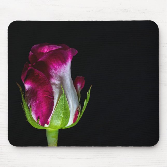7019-Red Tipped White Rose Mouse Mat (Front)