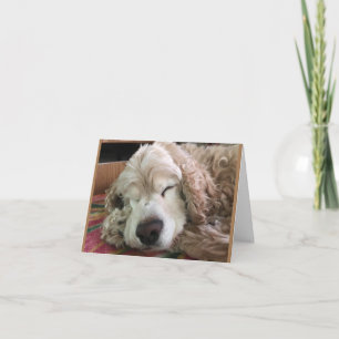 *70th BIRTHDAY* HA HA HA (FUNNY DOG HUMOR) Card