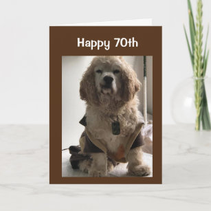 **70th BIRTHDAY WISHES FROM COCKER SPANIEL**  Card