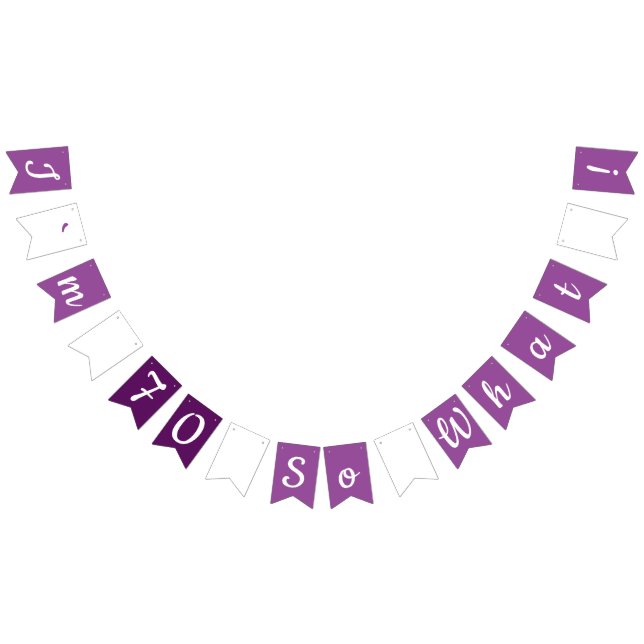 70th Funny and Motivational Birthday Party Bunting (All)
