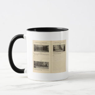 73941 Albany Mug