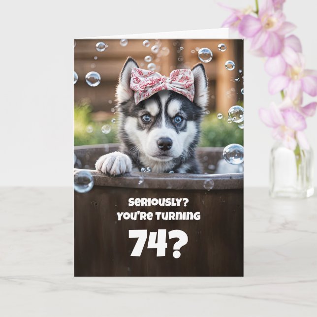 74th Funny Husky Bath Cute Birthday Card (Orchid)