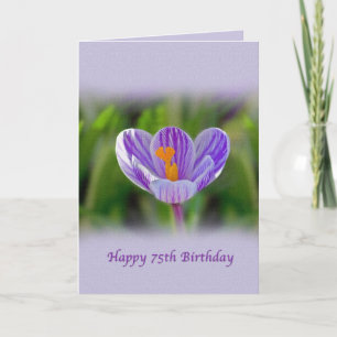 75th Birthday Card with Purple and White Flower