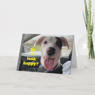 **75th BIRTHDAY*** HAPPY IT IS "YOU" NOT ME! Card