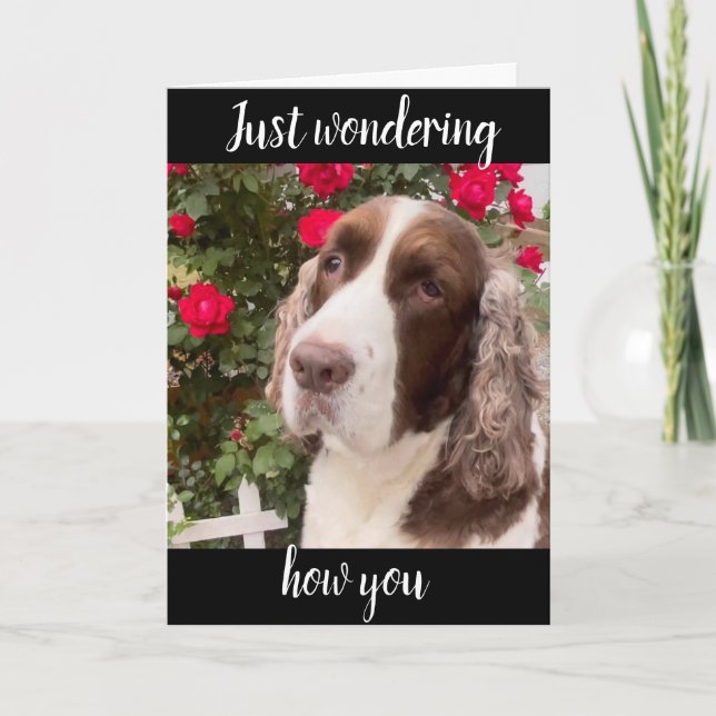 **75th & YOU ARE FABULOUS** ALWAYS! BIRTHDAY CARD (Front)