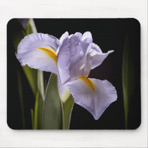 7659-2-Purple Iris Mouse Mat