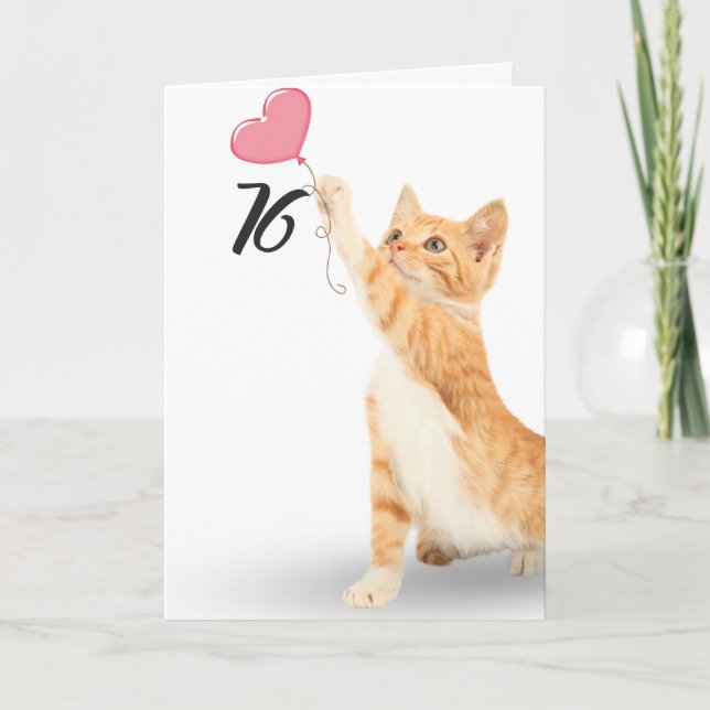 76th birthday tabby cat card (Front)