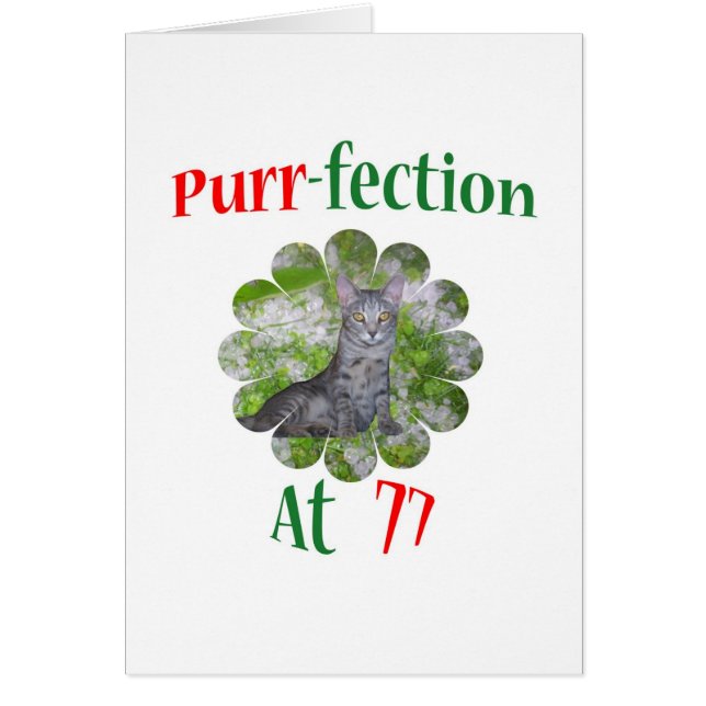 77 Purr-fection (Front)