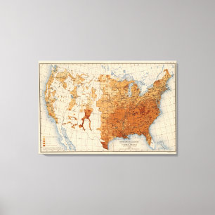 79 Proportion illiterates white voters Canvas Print