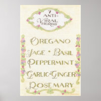7 Anti-Viral Herbs Poster