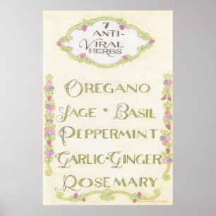 7 Anti-Viral Herbs Poster