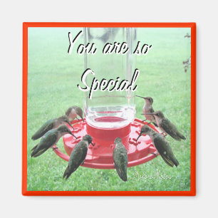 7 Hummingbirds- customise Magnet