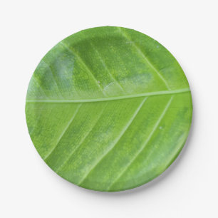 7-Inch Paper Plates with Enchanting Green Leaf