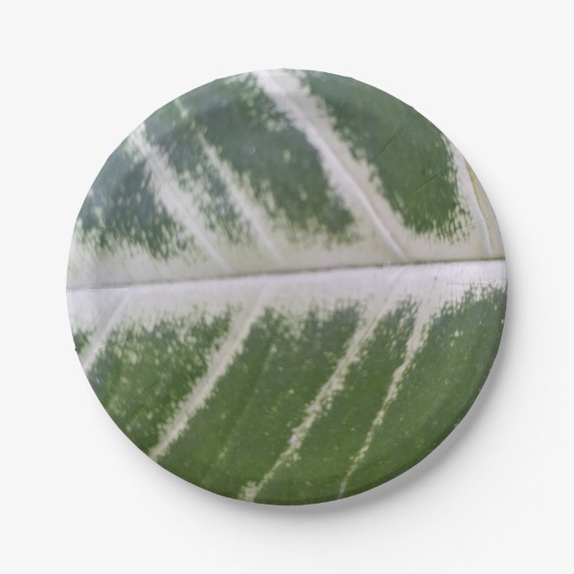 7 Inch Stunning Green Leaf with Delicate White  Paper Plate (Front)