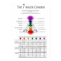 7 Major Chakra's