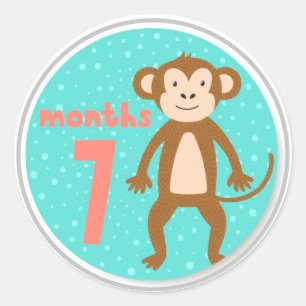 7 Month Baby Milestone Classic Round Sticker