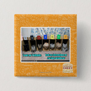 7 out ov 7 kittehs 15 cm square badge