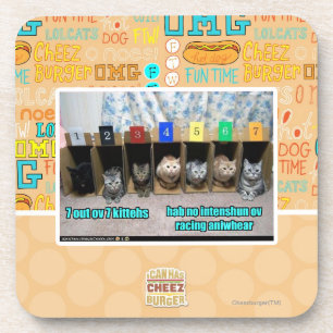 7 out ov 7 kittehs coaster