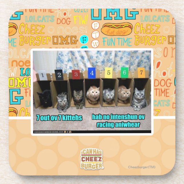 7 out ov 7 kittehs coaster (Front)