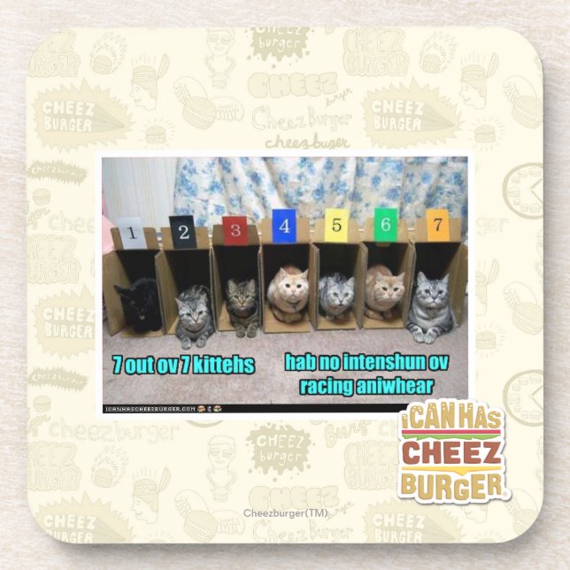 7 out ov 7 kittehs coaster (Front)