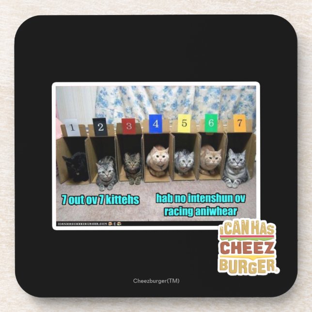 7 out ov 7 kittehs coaster (Front)