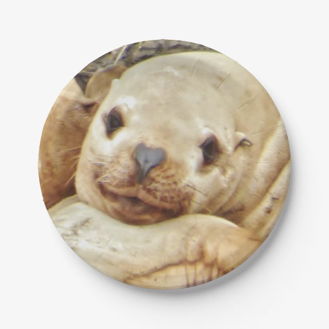 7" Paper Plate w/ seal (Front)