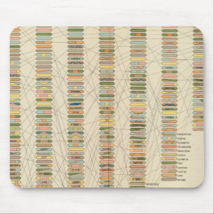 7 Rank, cities 17901890 Mouse Mat