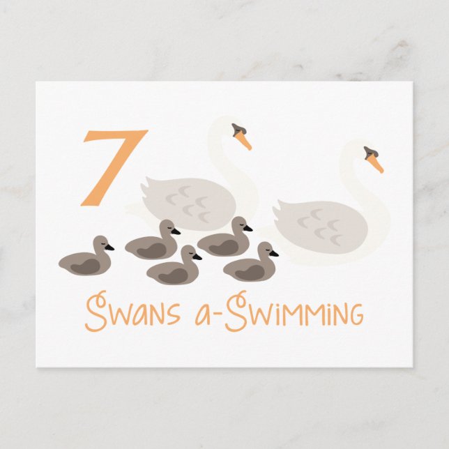 7 Swans a Swimming Postcard (Front)