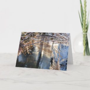 7"x5" Folded Card    Pond Pollen Scum