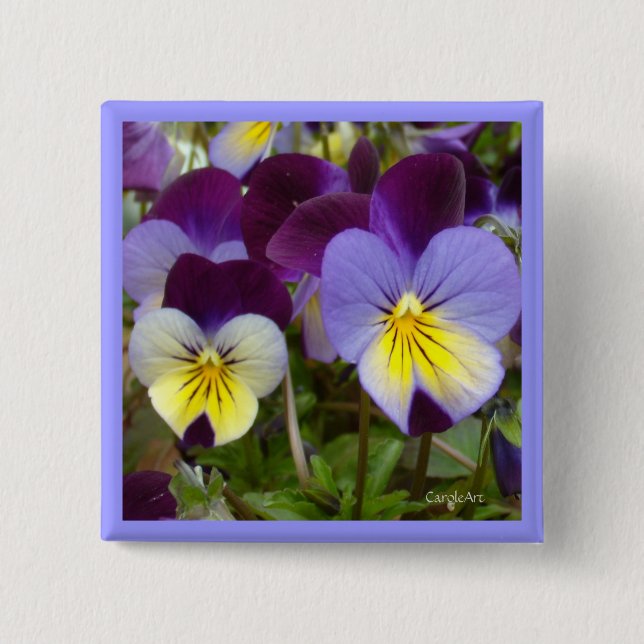 7a Blue Yellow Purple Violas 15 Cm Square Badge (Front)