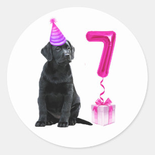 7th Birthday Puppy Theme- Cute Dog Pink Girl Pawty Classic Round Sticker