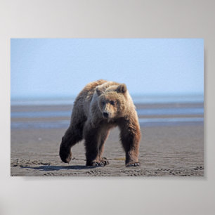 7x5 Poster Paper (Matte) of grizzly bear cub