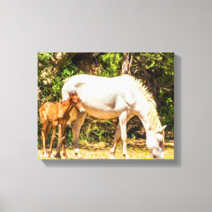 8004-Wild Mustang with Baby Canvas Print
