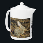 80 Years Young Adorable Rabbit Photo 80th Birthday<br><div class="desc">This teapot features an adorable, small, brown, bunny sitting in the morning sun feeling the warmth of the rays. This is a unique way to celebrate a birthday milestone of 80, 90, or any age by customising the age of the lucky birthday boy or girl. "Some bunny special is 80...</div>