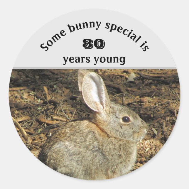 80 Years Young Adorable Rabbit Photo 80th Birthday Classic Round Sticker (Front)