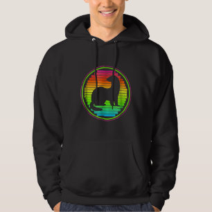 80s Retro Ferrets Love Ferret 1980s Colours Hoodie