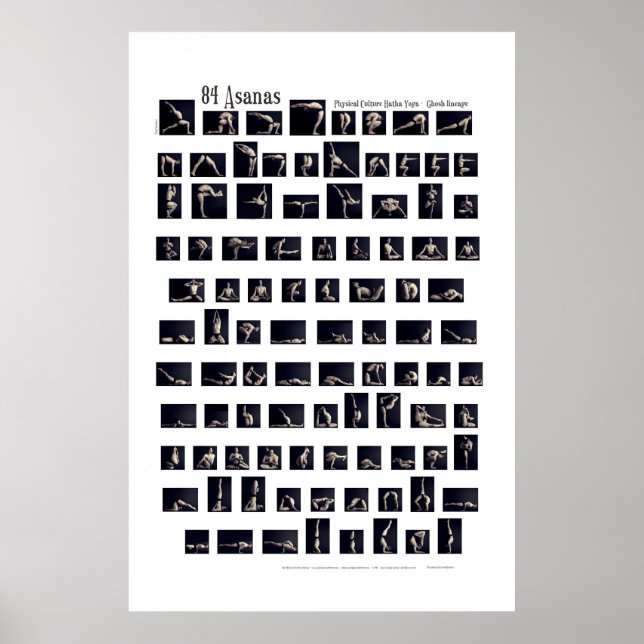 84 Asanas Poster (Front)