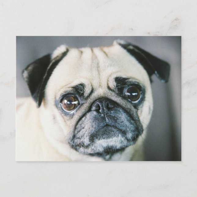 850203-R1-017-7 POSTCARD (Front)