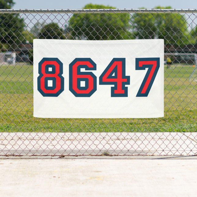 8647 Anti Trump Resistance Banner (Insitu)